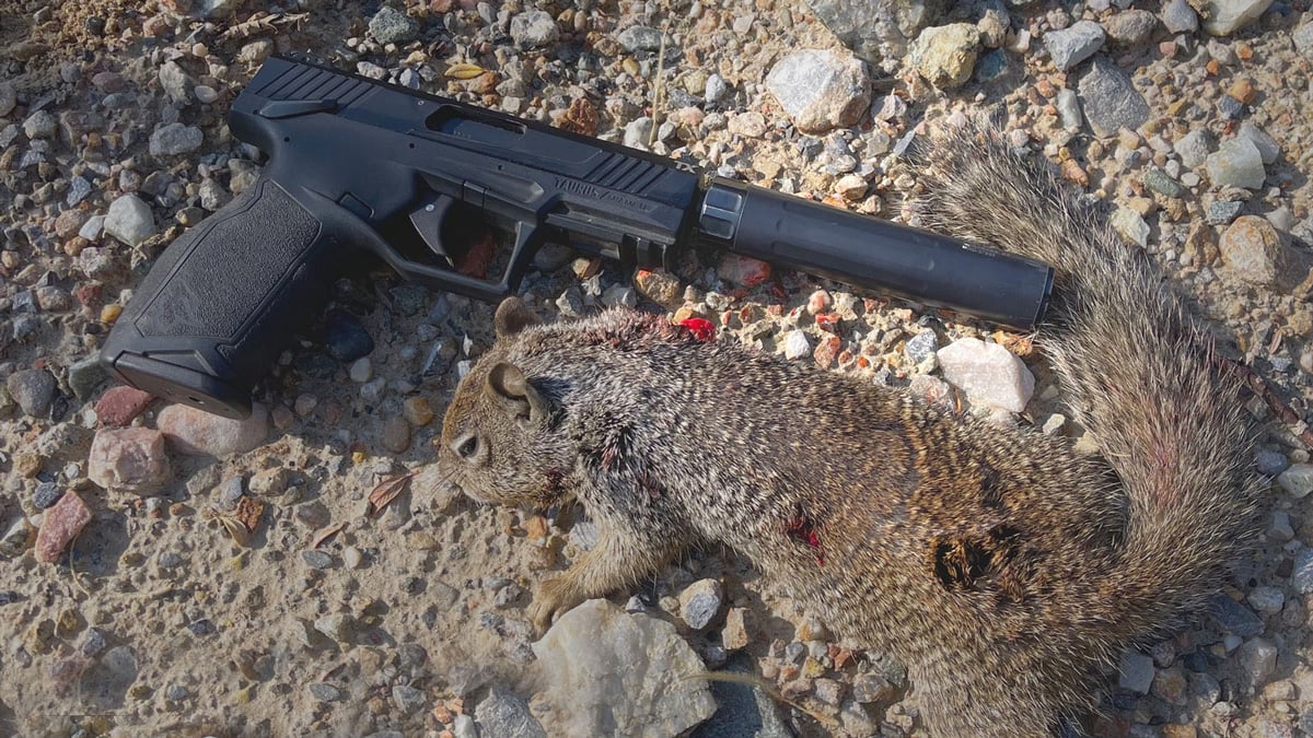 TX22 with squirrel