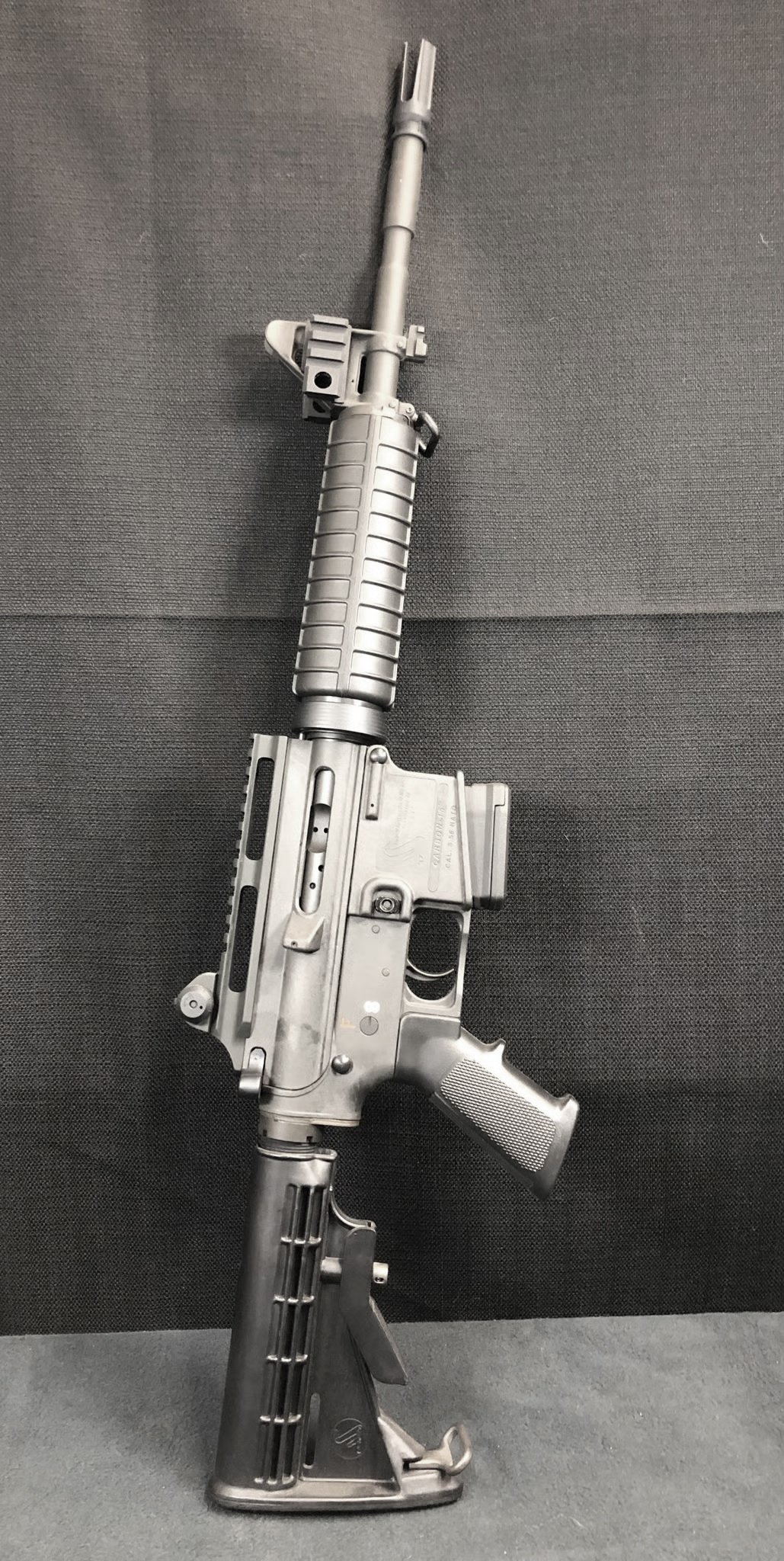 BUSHMASTER CARBON 15