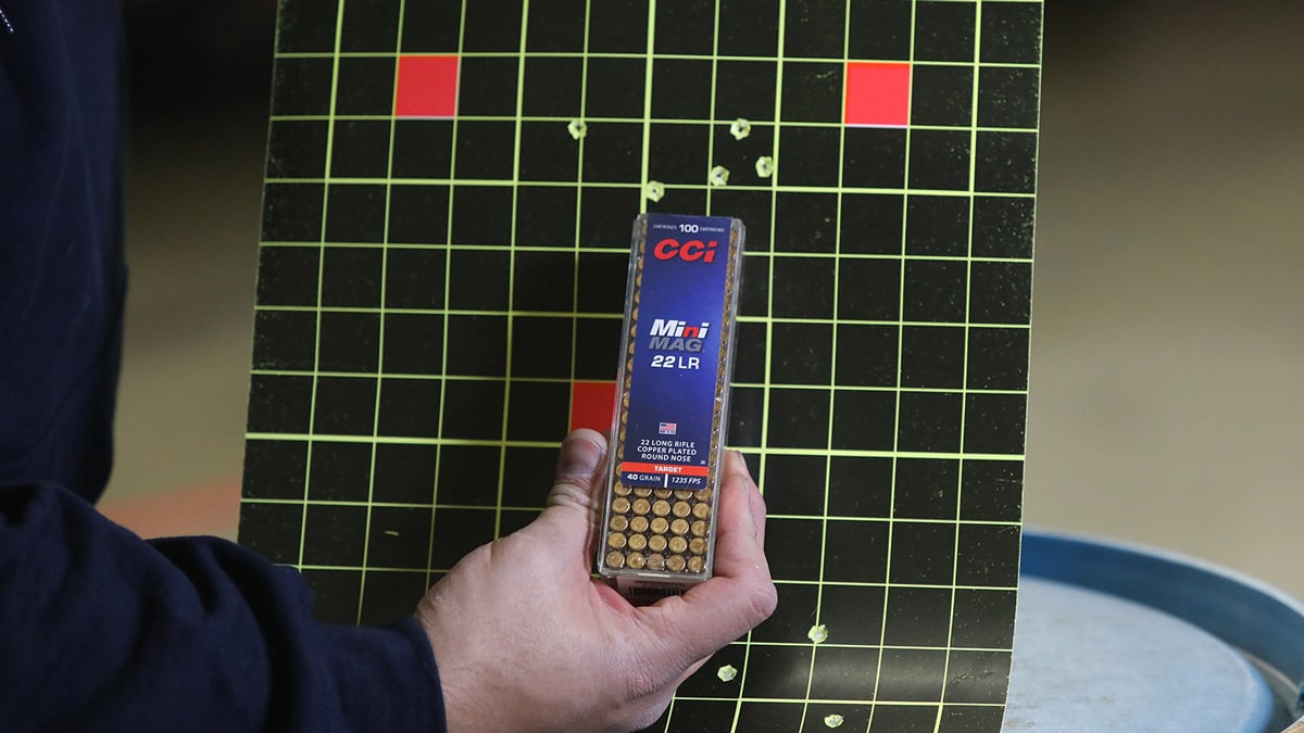 target shot with walther p22 ca target