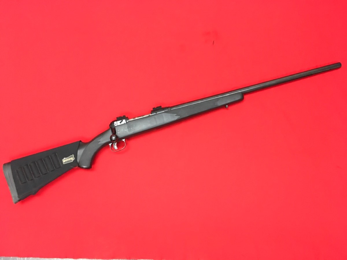 SAVAGE ARMS 12