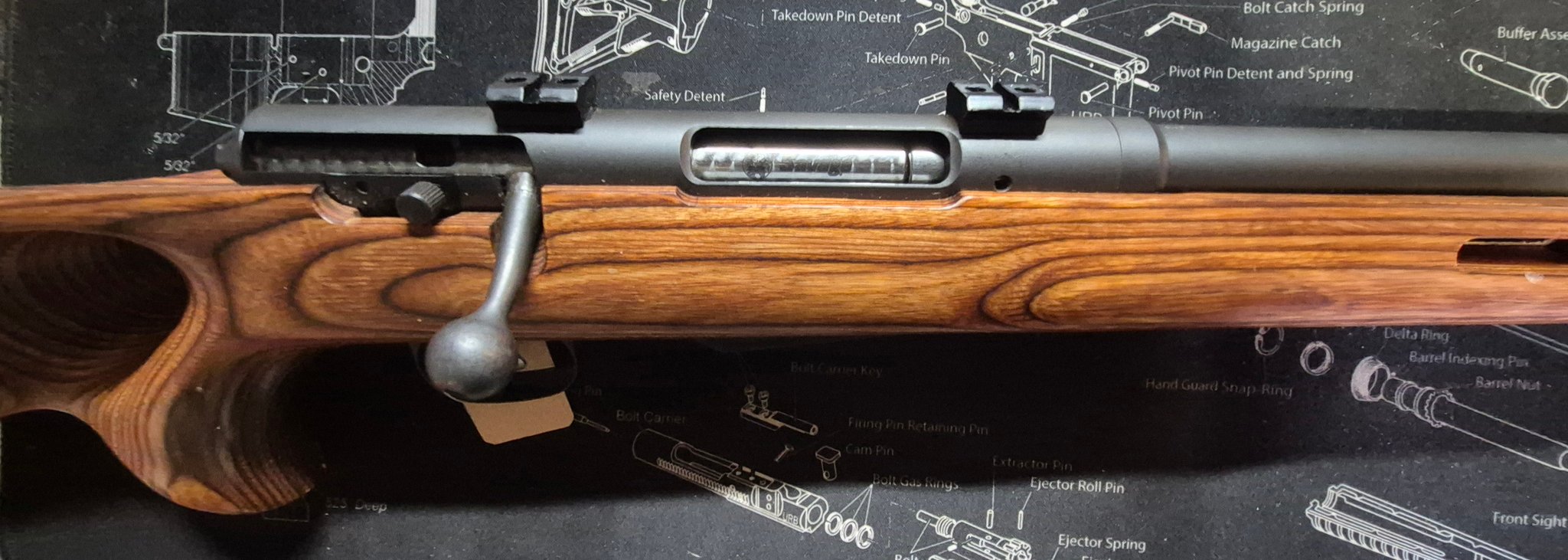 SAVAGE ARMS m-25