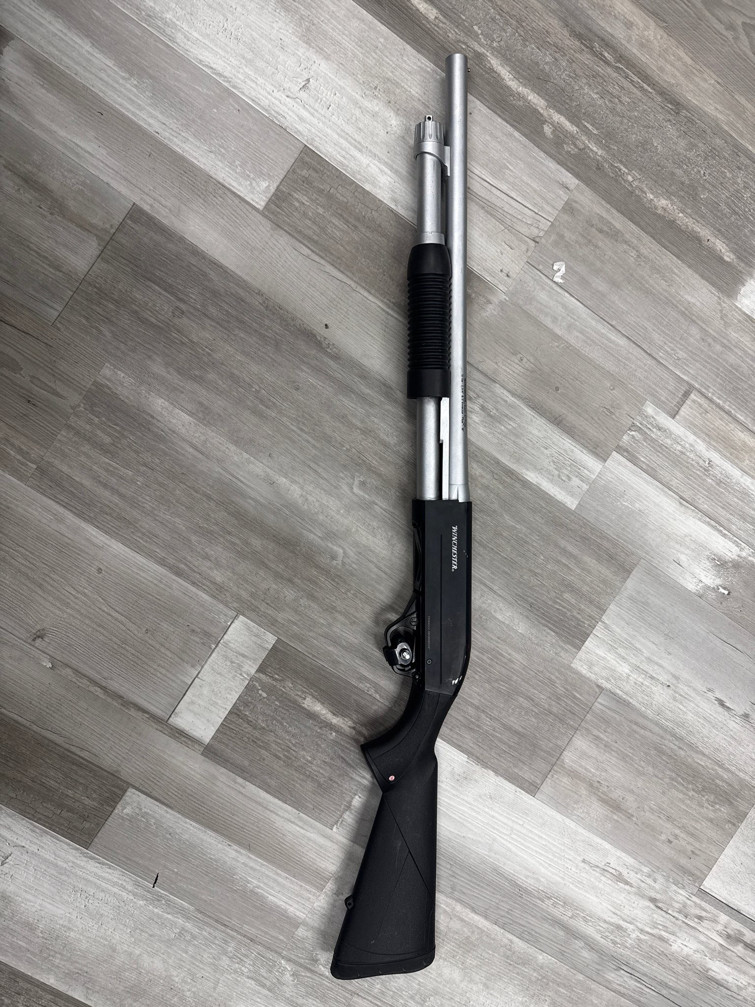 WINCHESTER SXP