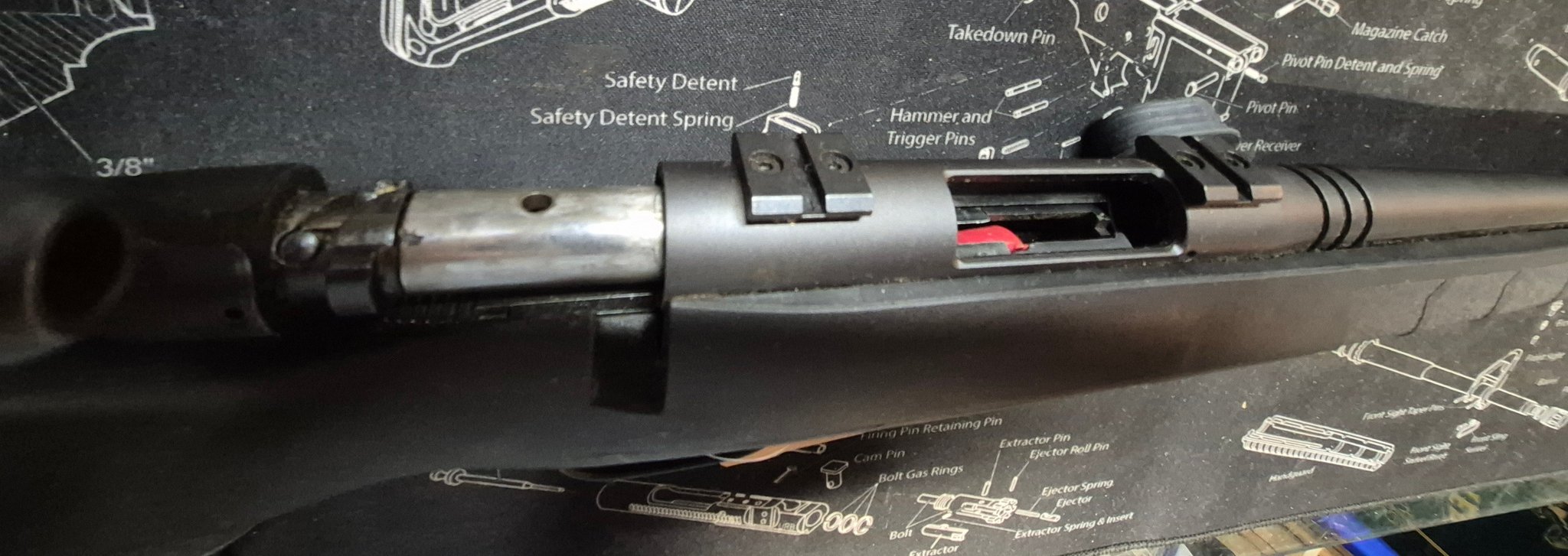 SAVAGE ARMS b-mag