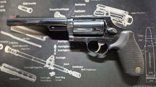 TAURUS THE JUDGE