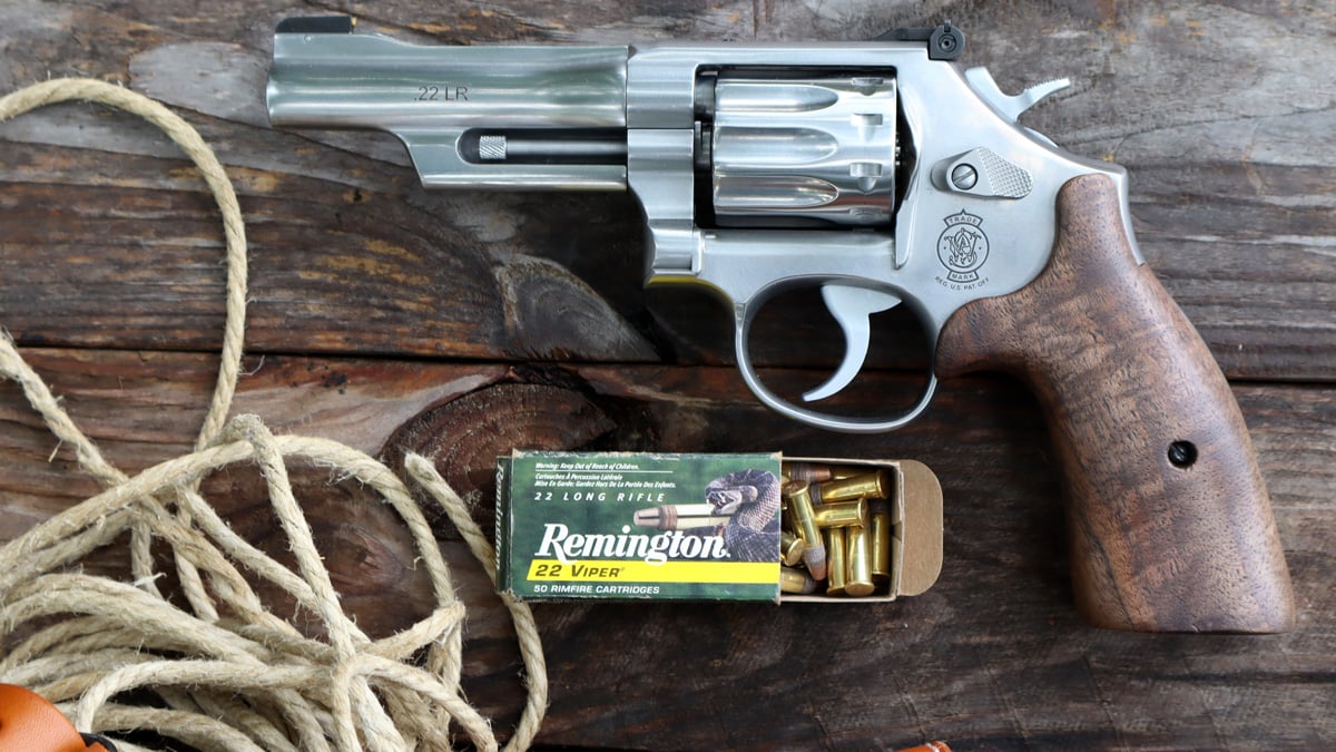 S&W Mountain Gun with .22 ammo