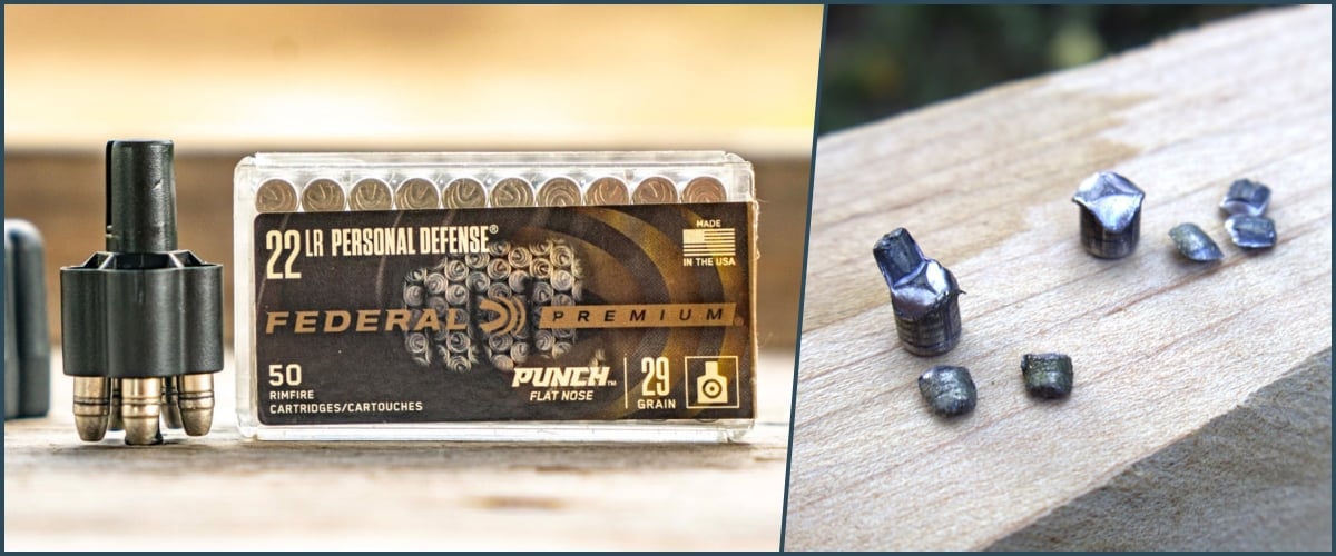 federal punch and winchester silvertip .22 rounds