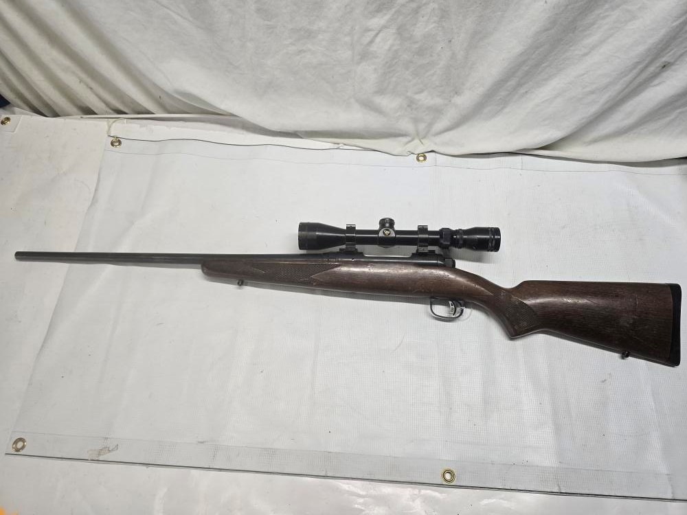 SAVAGE ARMS 10