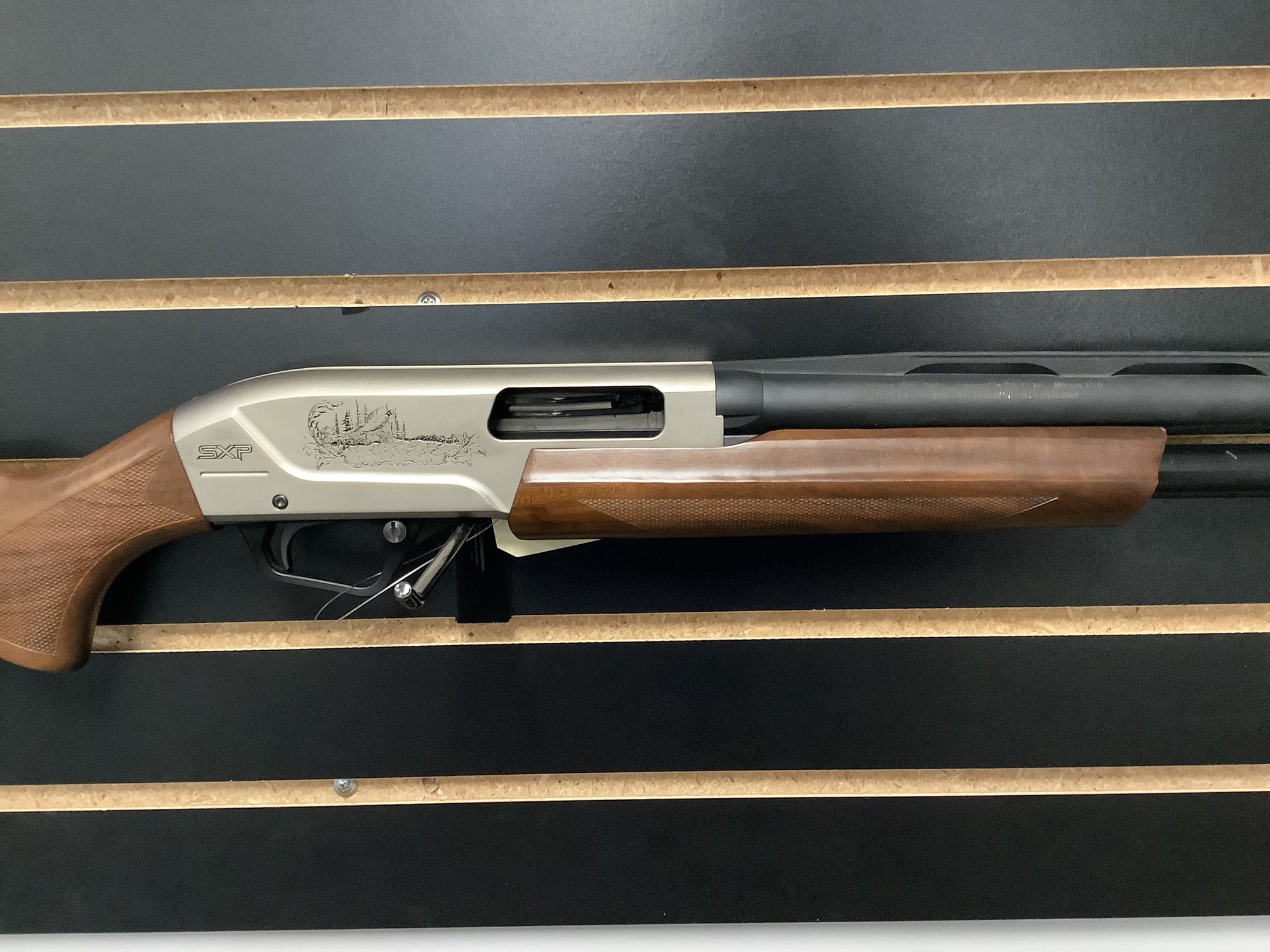 WINCHESTER SXP