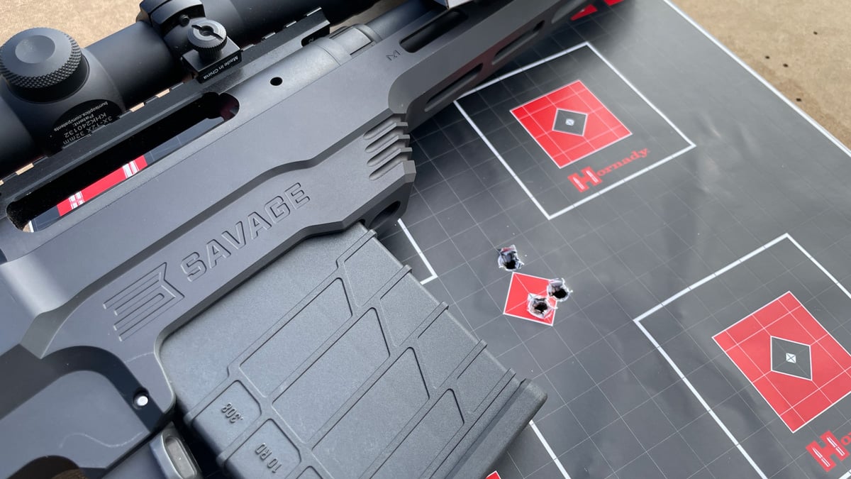 target with Savage 110 PCS