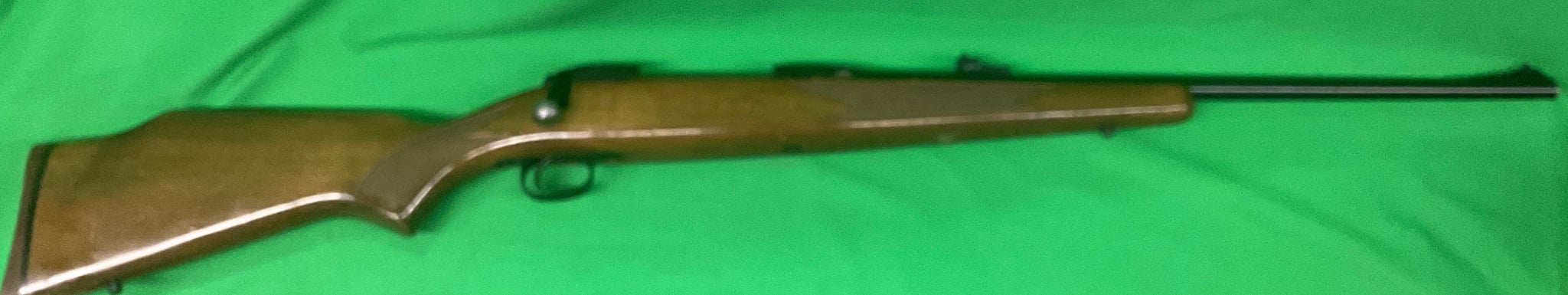 SAVAGE ARMS 110