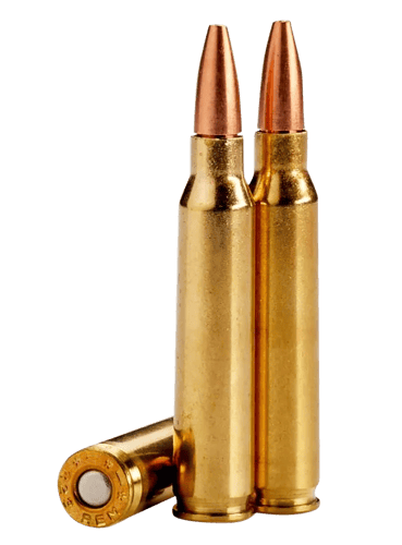 LEHIGH DEFENSE .223 REM