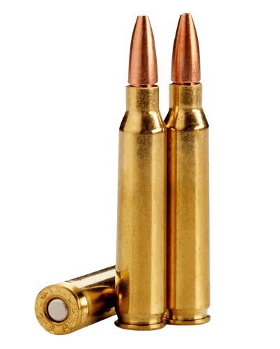 LEHIGH DEFENSE .223 REM