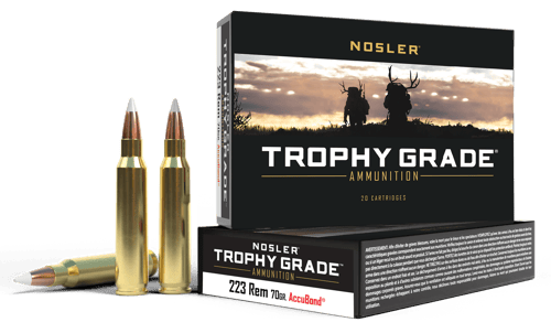 NOSLER .223 REM
