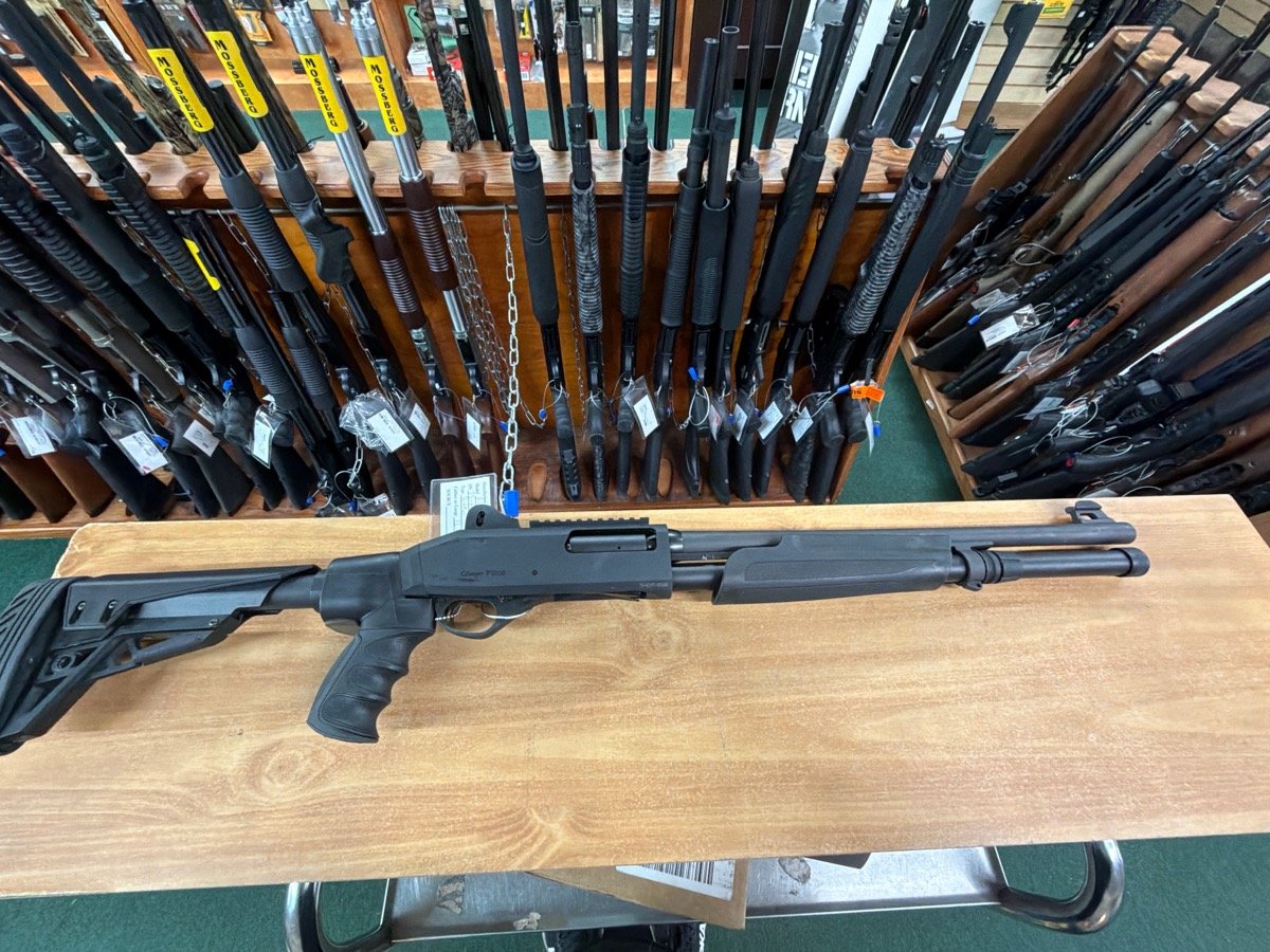 STOEGER P3000