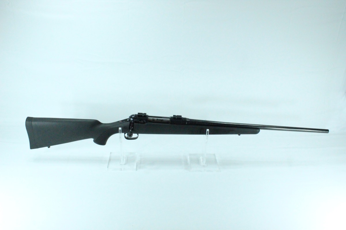 SAVAGE ARMS 10
