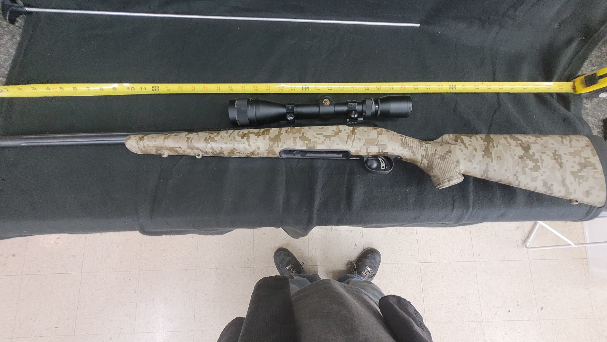 SAVAGE ARMS 10
