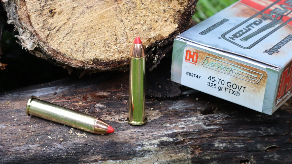 .45-70 Government