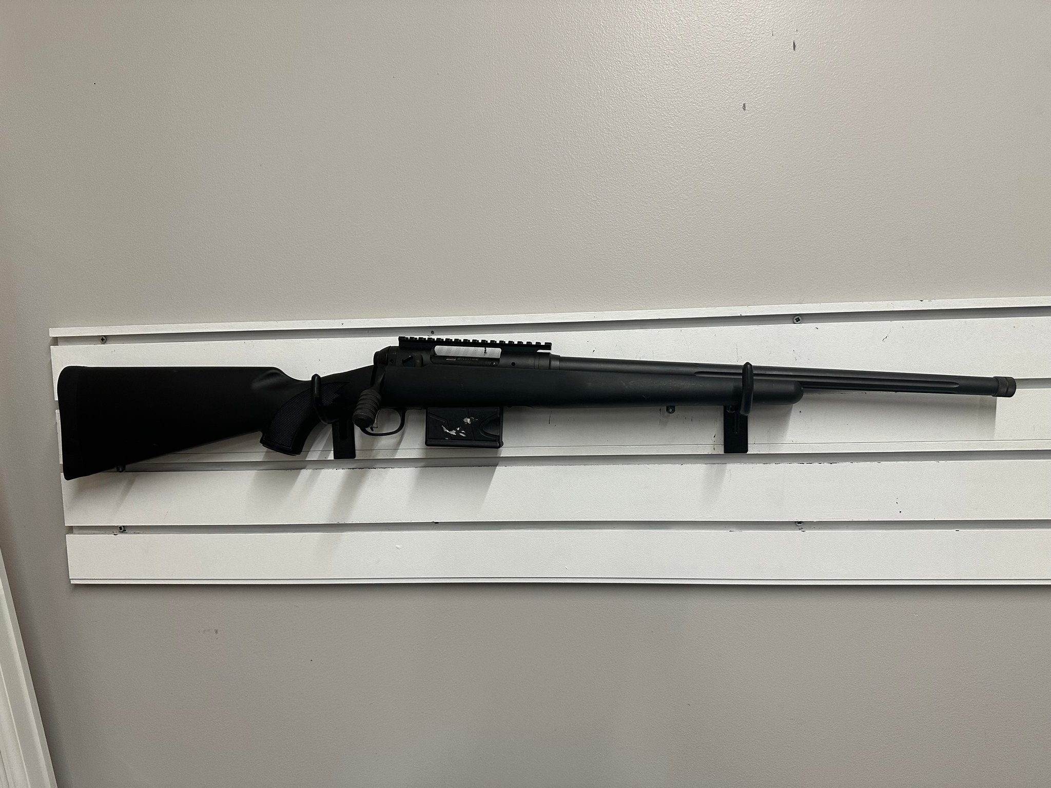 SAVAGE ARMS 10