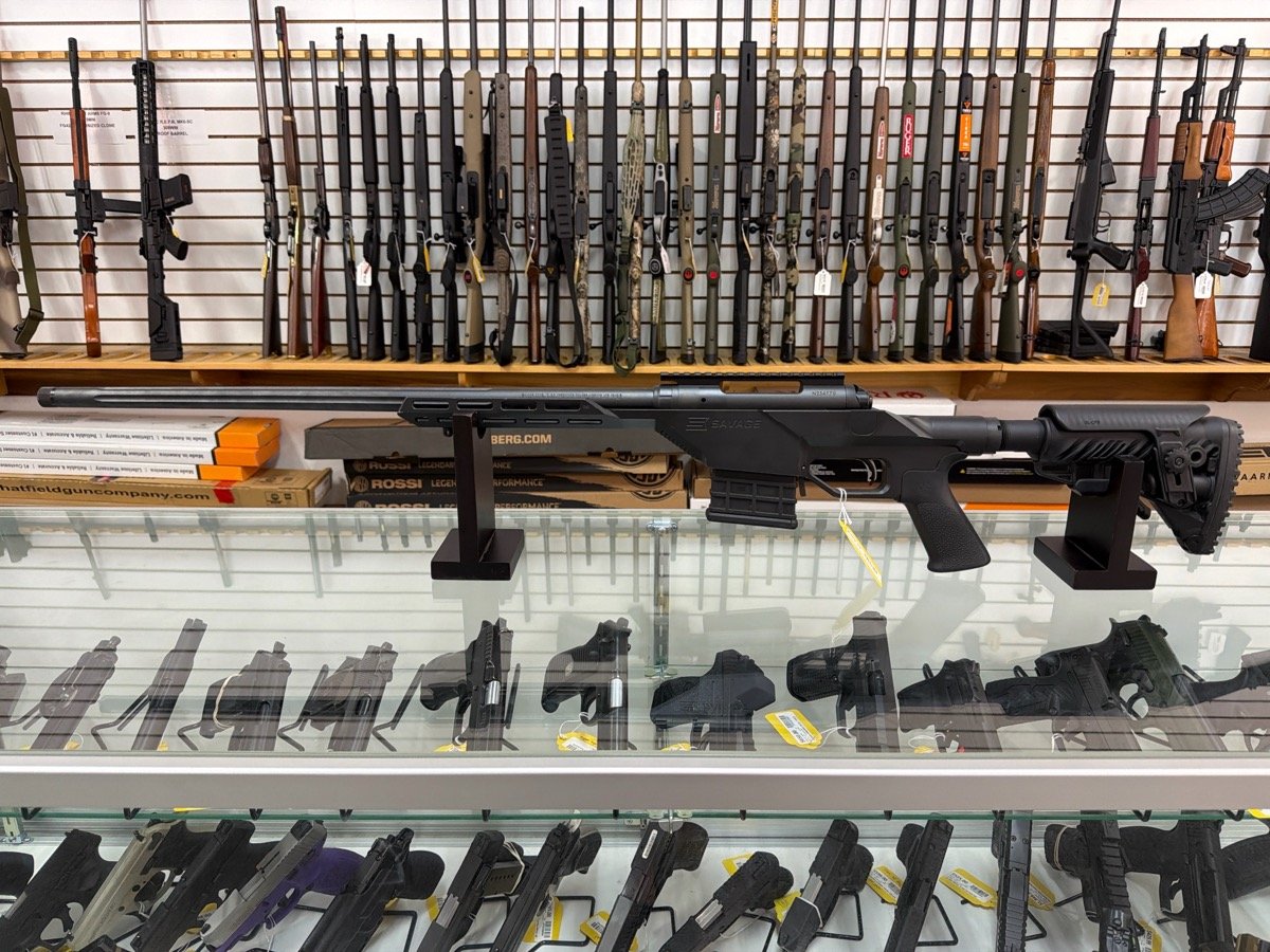 SAVAGE ARMS 10