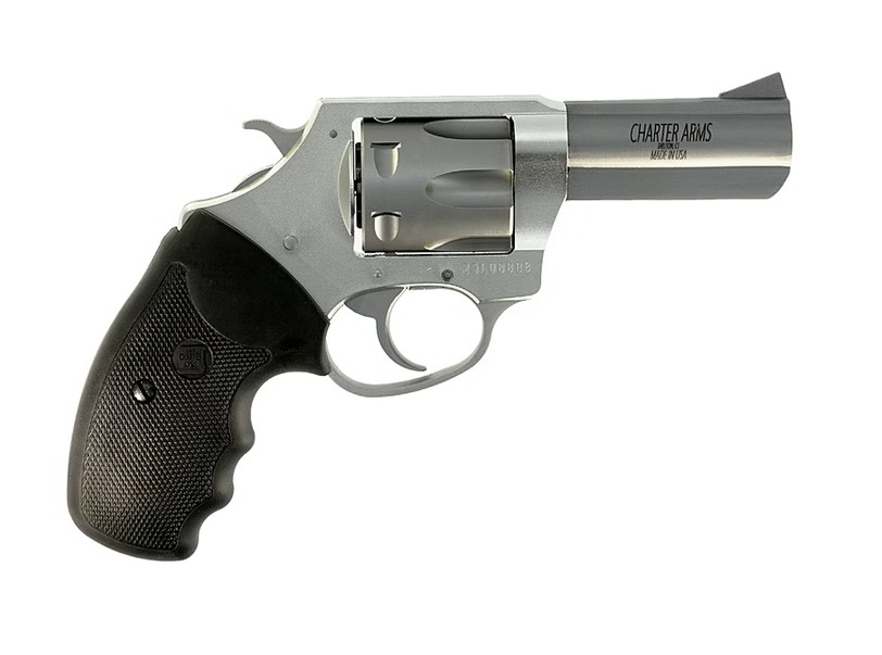 CHARTER ARMS PIT BULL