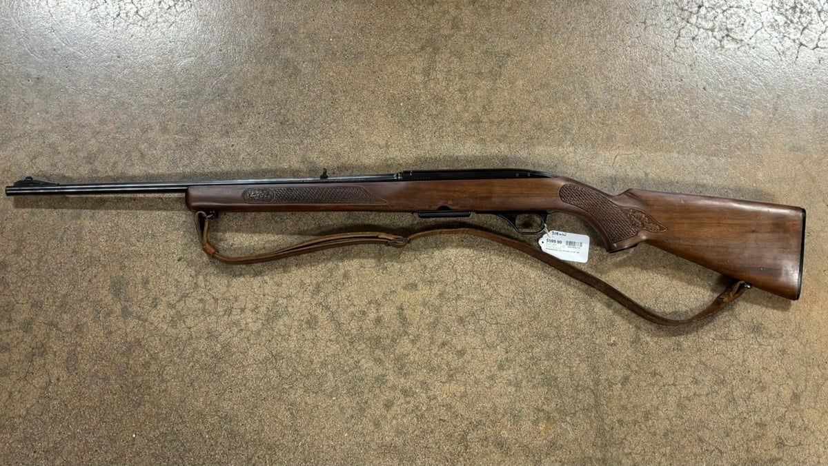WINCHESTER 100
