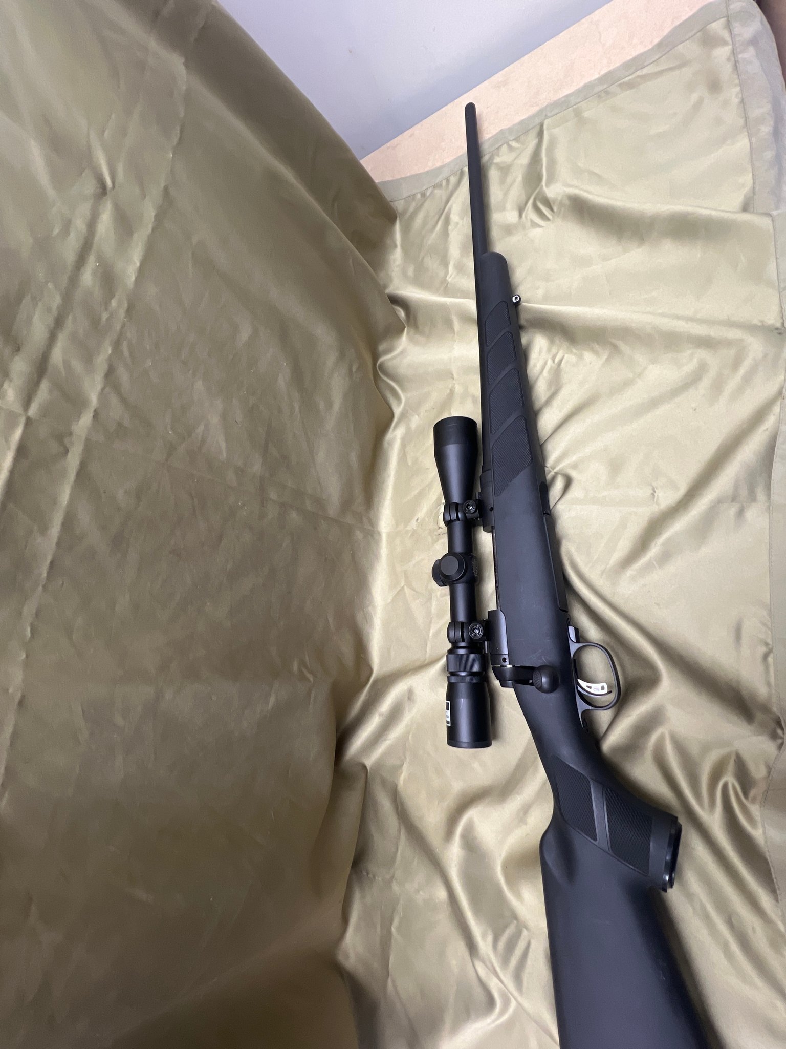 SAVAGE ARMS 11