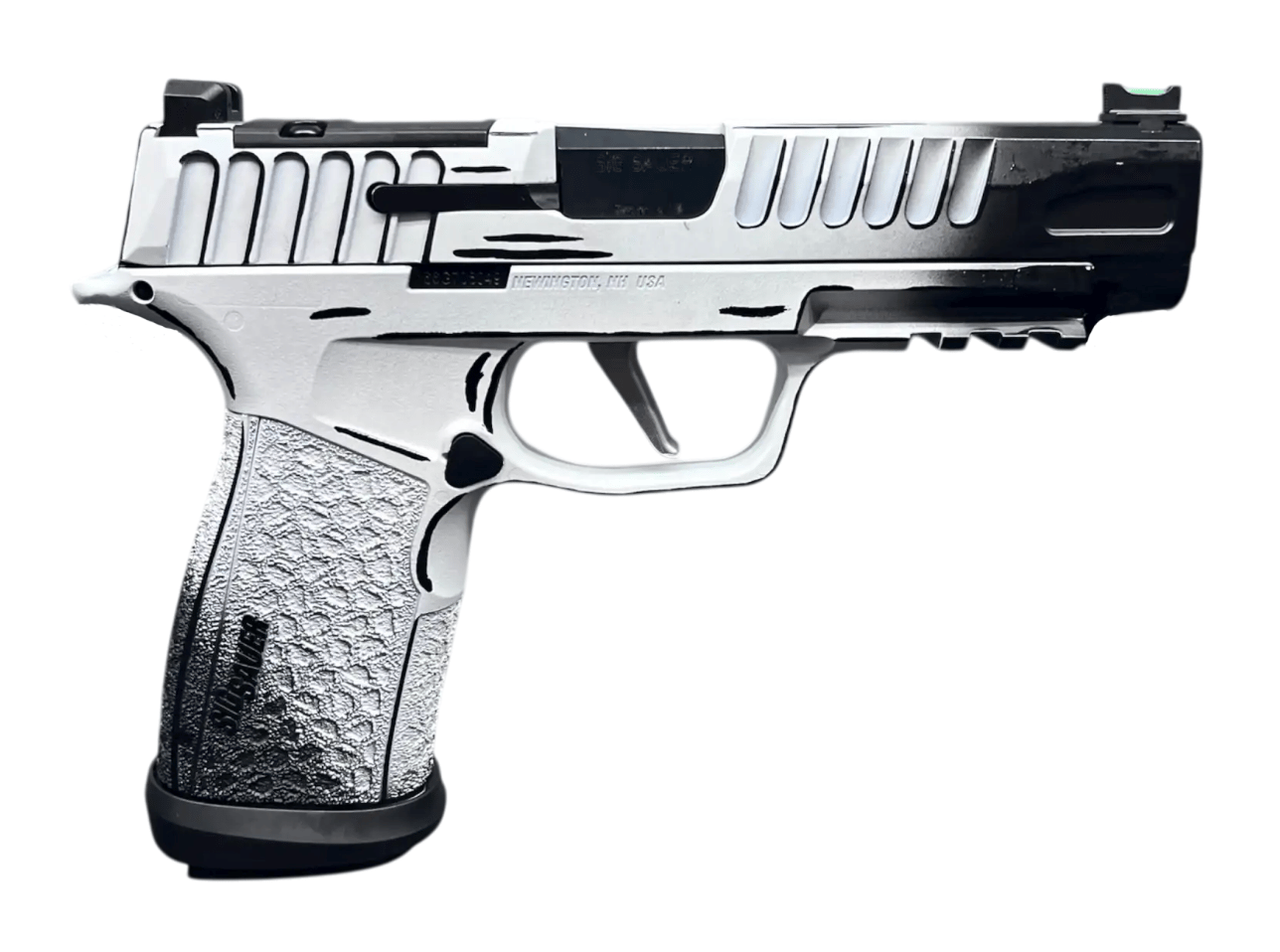 SIG SAUER P365 FUSE SKETCH