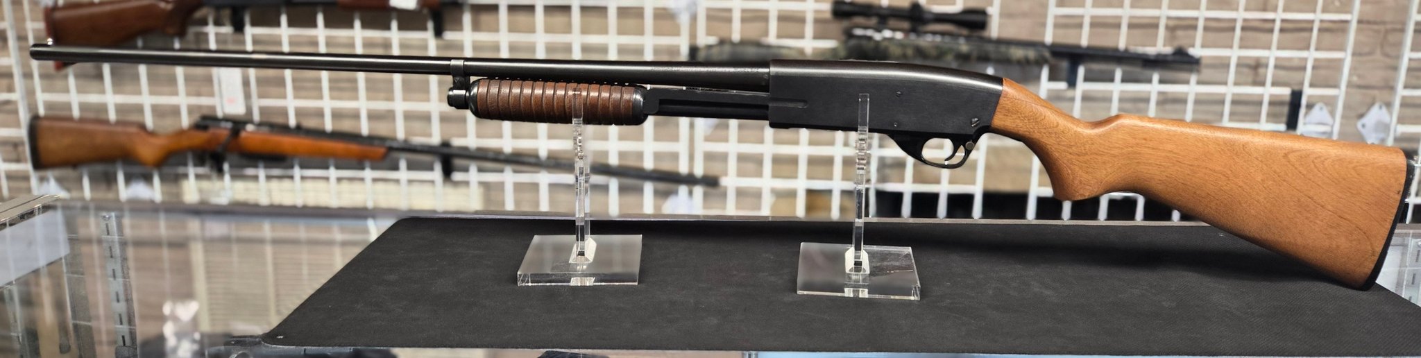 SAVAGE ARMS 67E