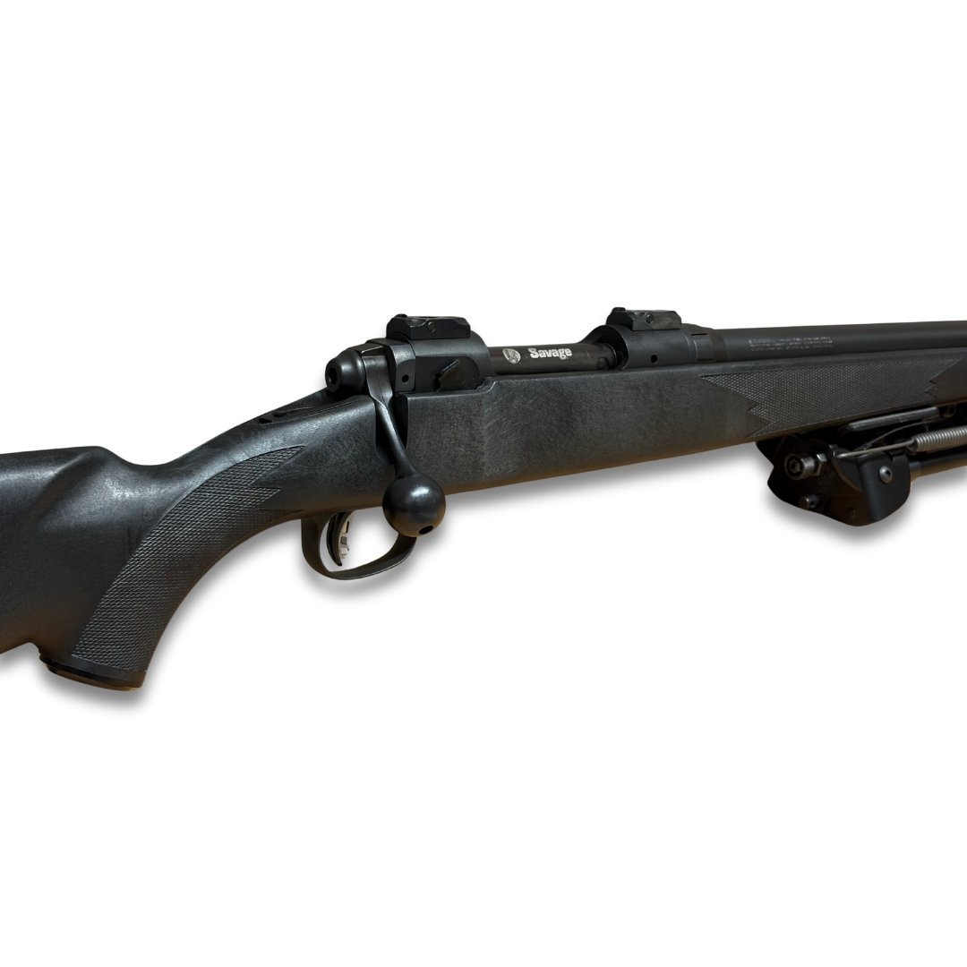 SAVAGE ARMS Model 10