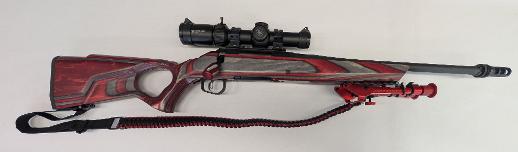 RUGER AMERICAN