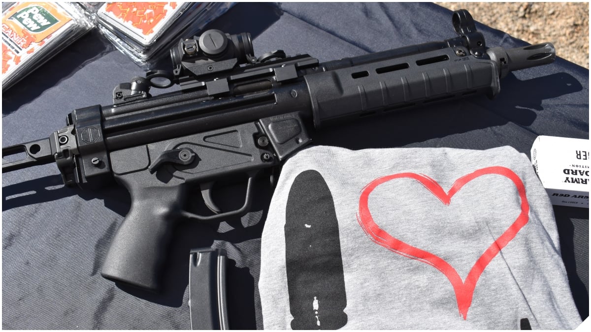 Gear Review: Bushnell Enrage red dot optic