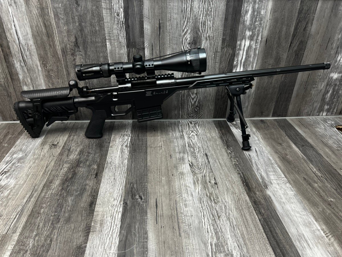 SAVAGE ARMS 10