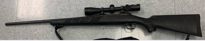 SAVAGE ARMS 11