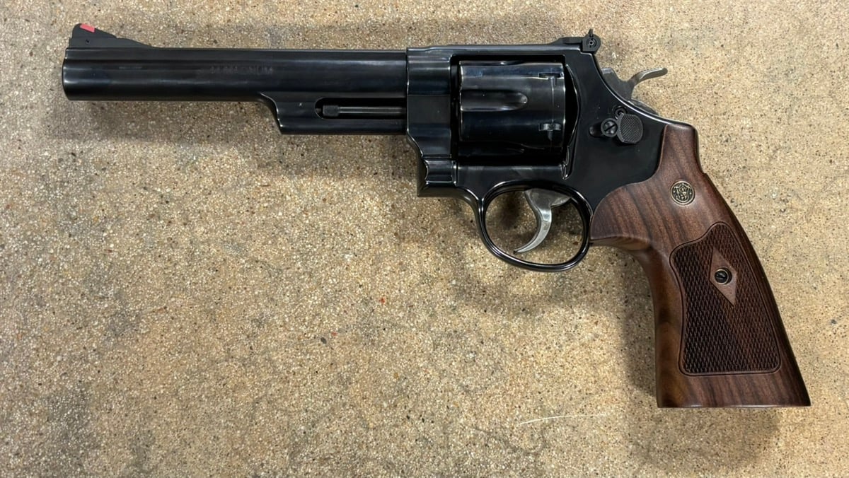 SMITH & WESSON 29-10