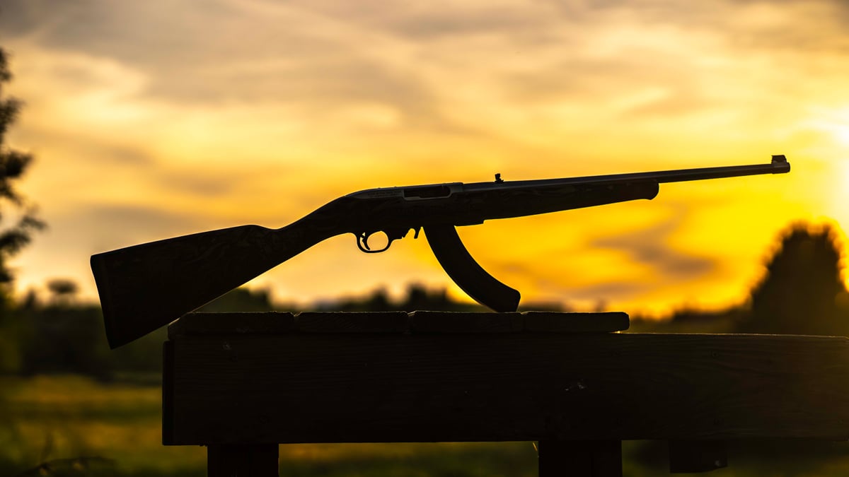 Ruger 10/22 America's 250th Anniversary Edition rifle
