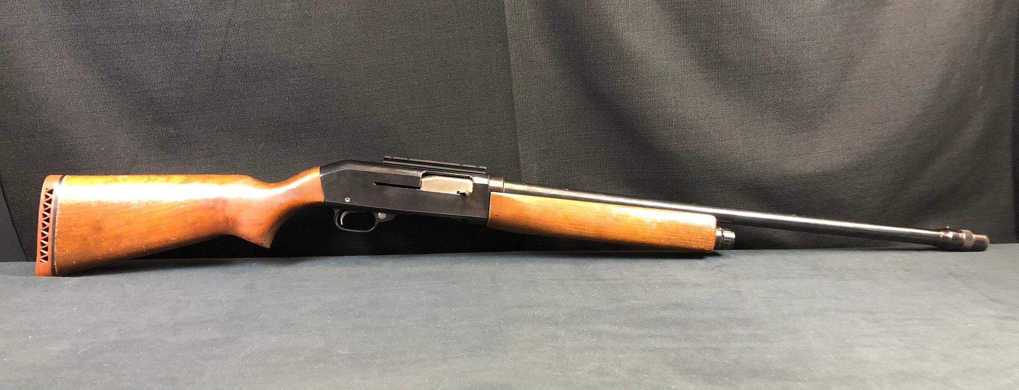 SEARS & ROEBUCK M300 12 ga