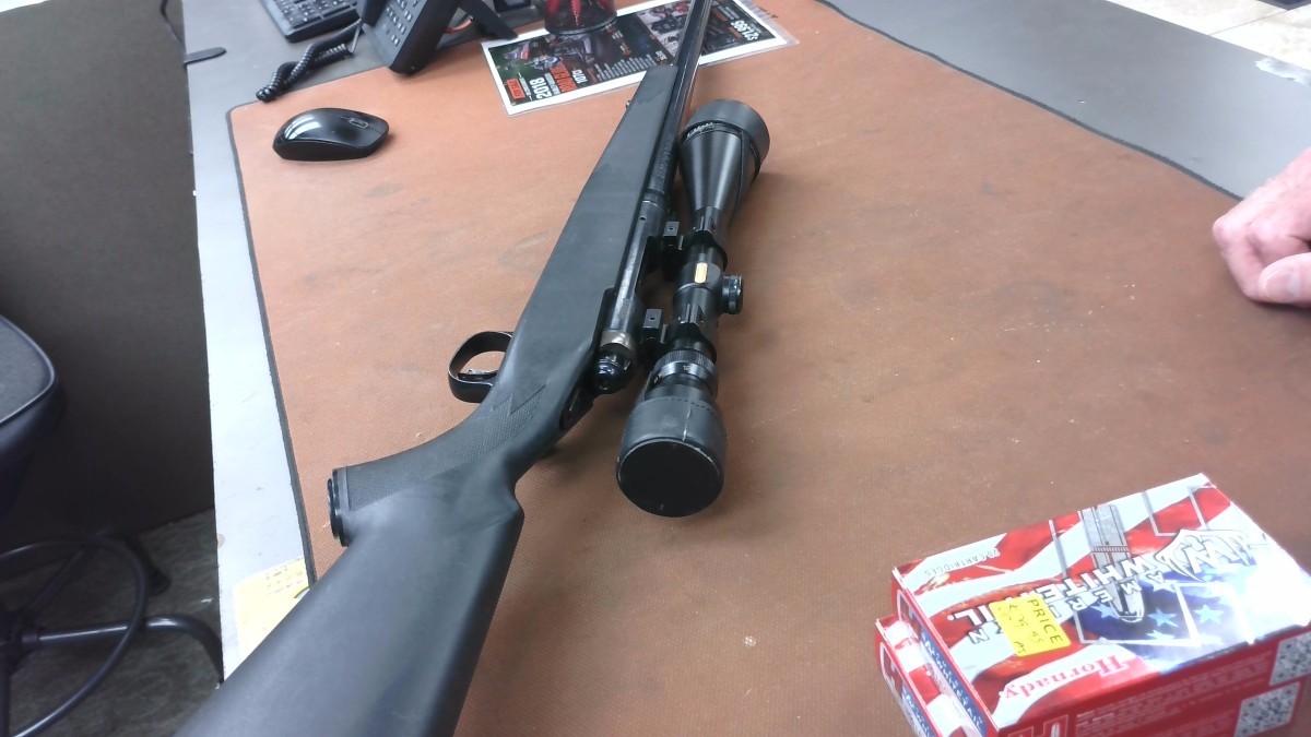 SAVAGE ARMS 12