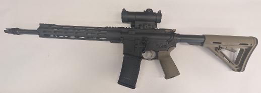 PALMETTO STATE ARMORY PA-15 Custom