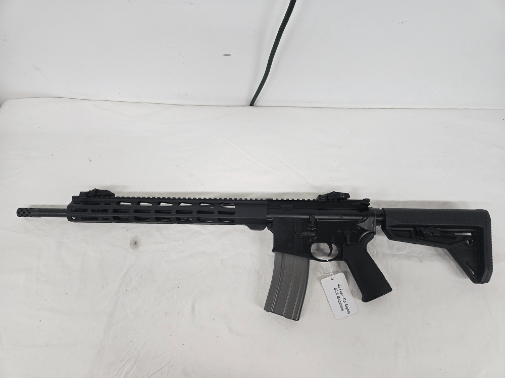 RUGER AR-556 w/Flip-Up Sights, Magpul Furniture, Magazine
