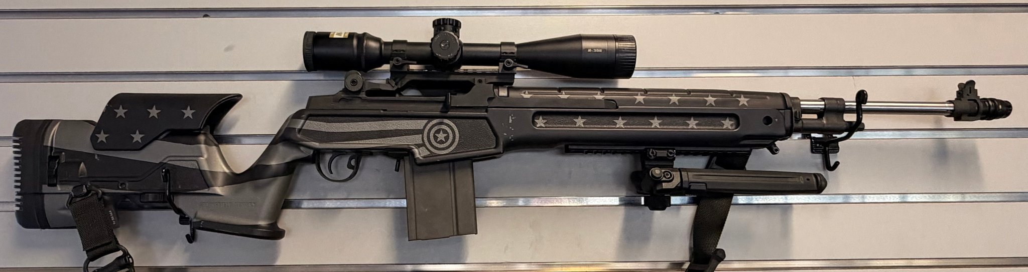 SPRINGFIELD ARMORY M1A PRECISION