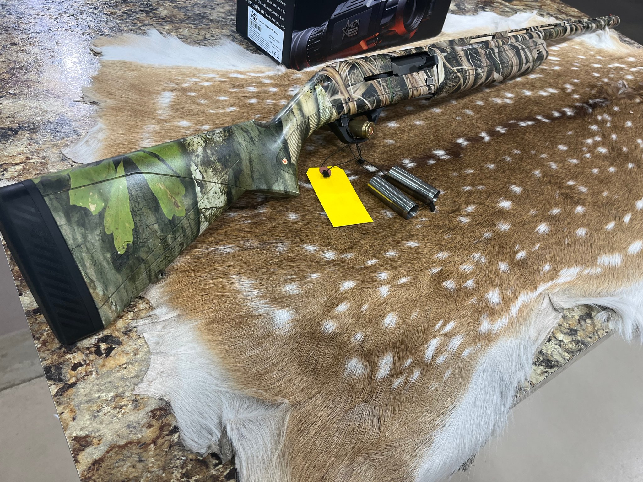 WINCHESTER SX4