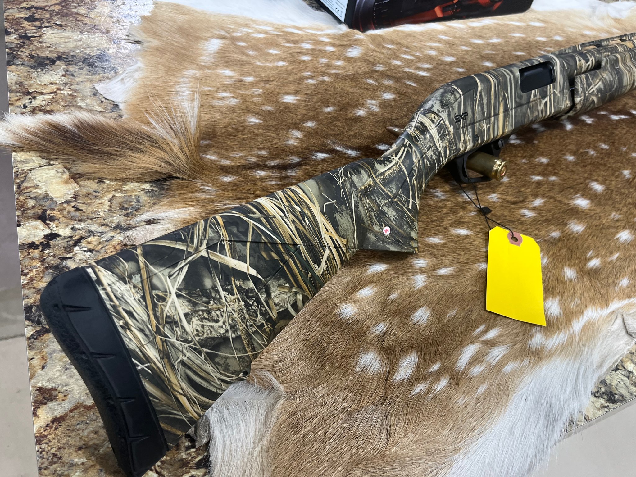 WINCHESTER SXP