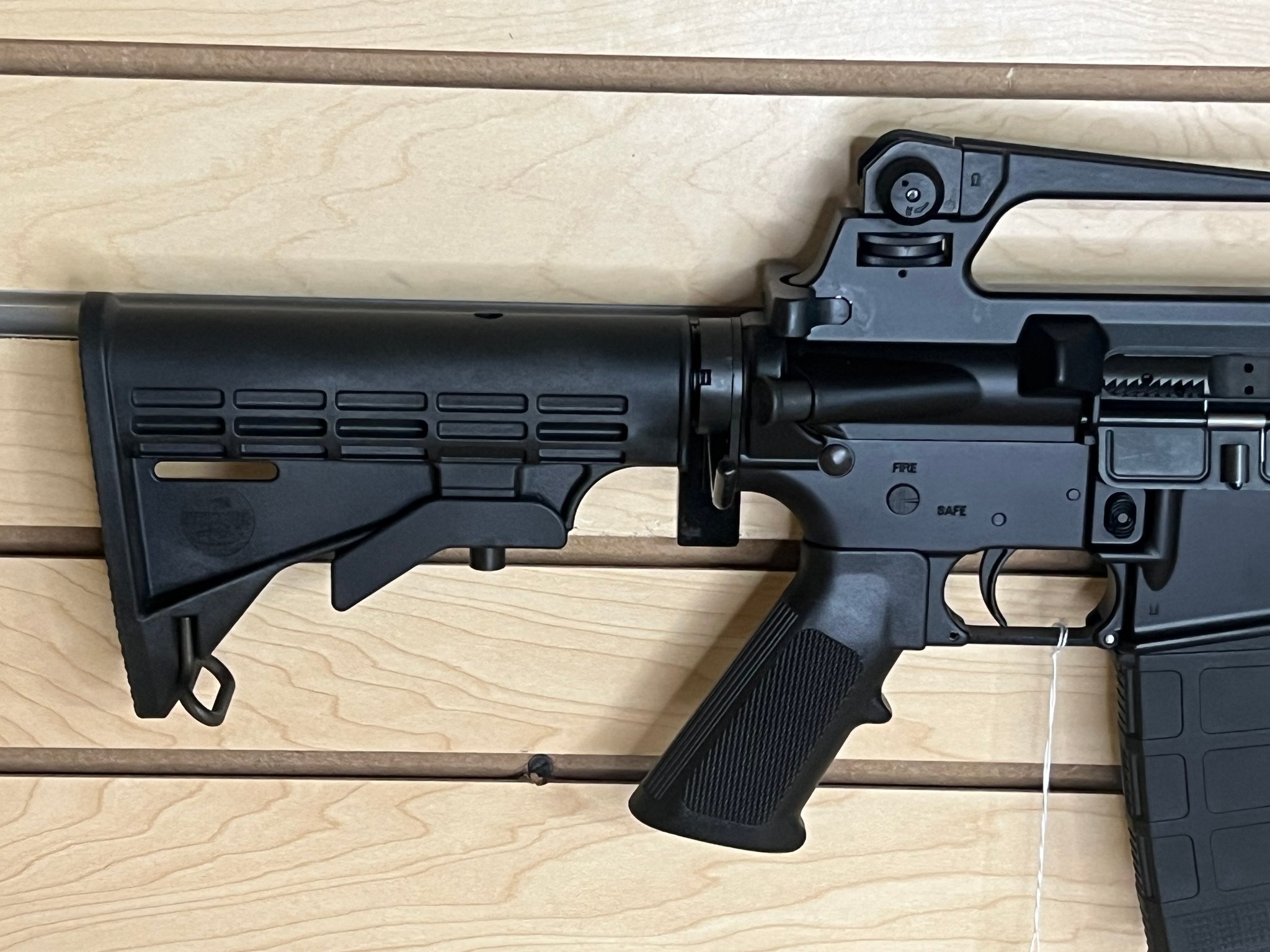 BUSHMASTER XM15-E2S