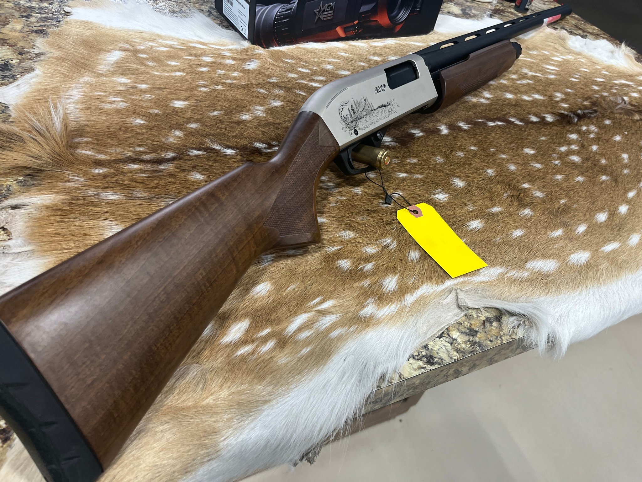 WINCHESTER SXP