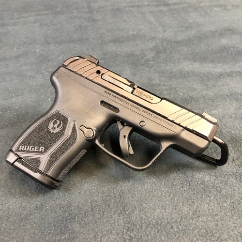 RUGER LCP MAX 13779