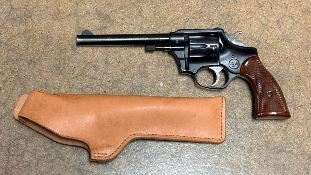 HIGH STANDARD SENTINEL DELUXE R-107
