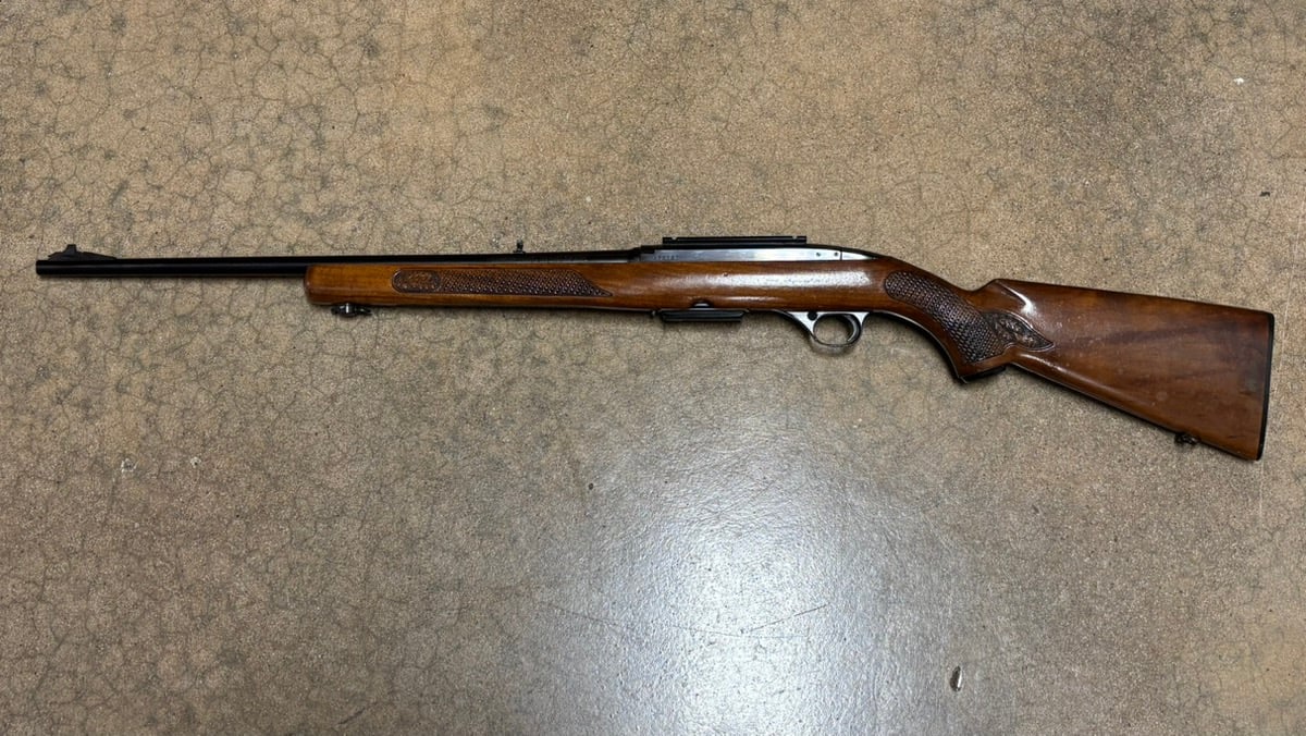 WINCHESTER 100