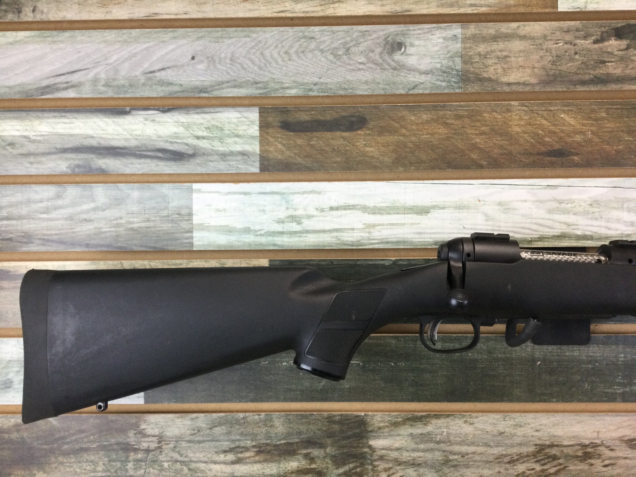SAVAGE ARMS 11