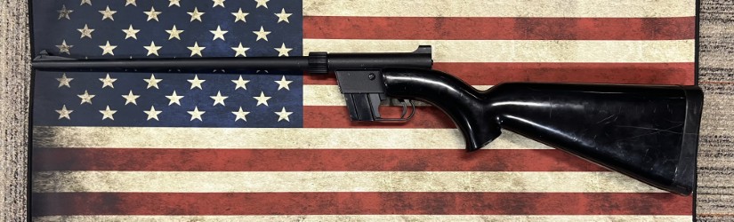 CHARTER ARMS AR-7