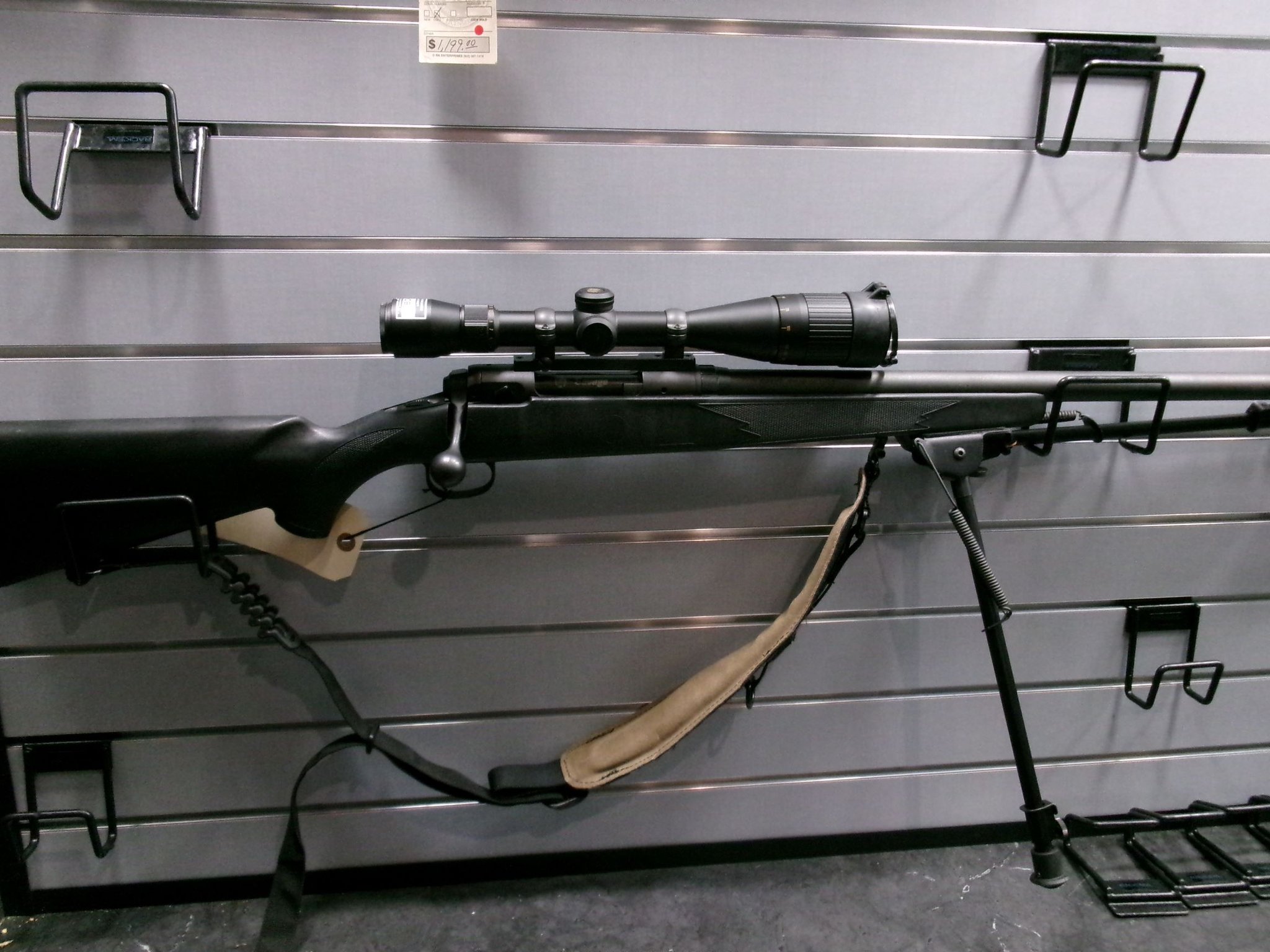 SAVAGE ARMS 10